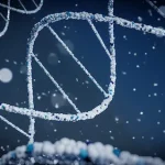 prolactina y estrés y cadena de ADN
