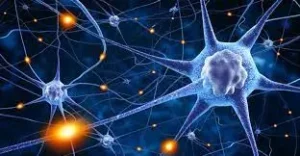 Neuronas conectándose, qué son las neuronas